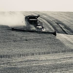 Meet your Posher, Tony